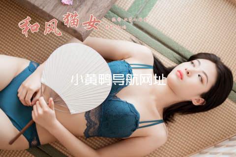 小黄鸭导航网址
